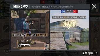 和平精英爆料实战视频,爆料视频深度解析