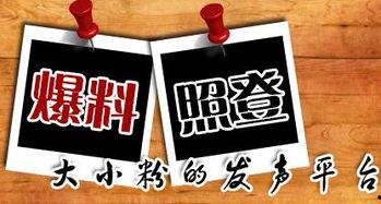 最新的新闻爆料